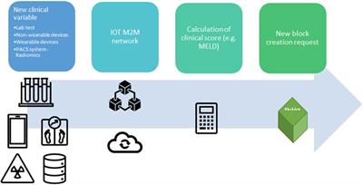 Implementation of Blockchain Technology Could Increase Equity and Transparency in Organ Transplantation: A Narrative Review of an Emergent Tool